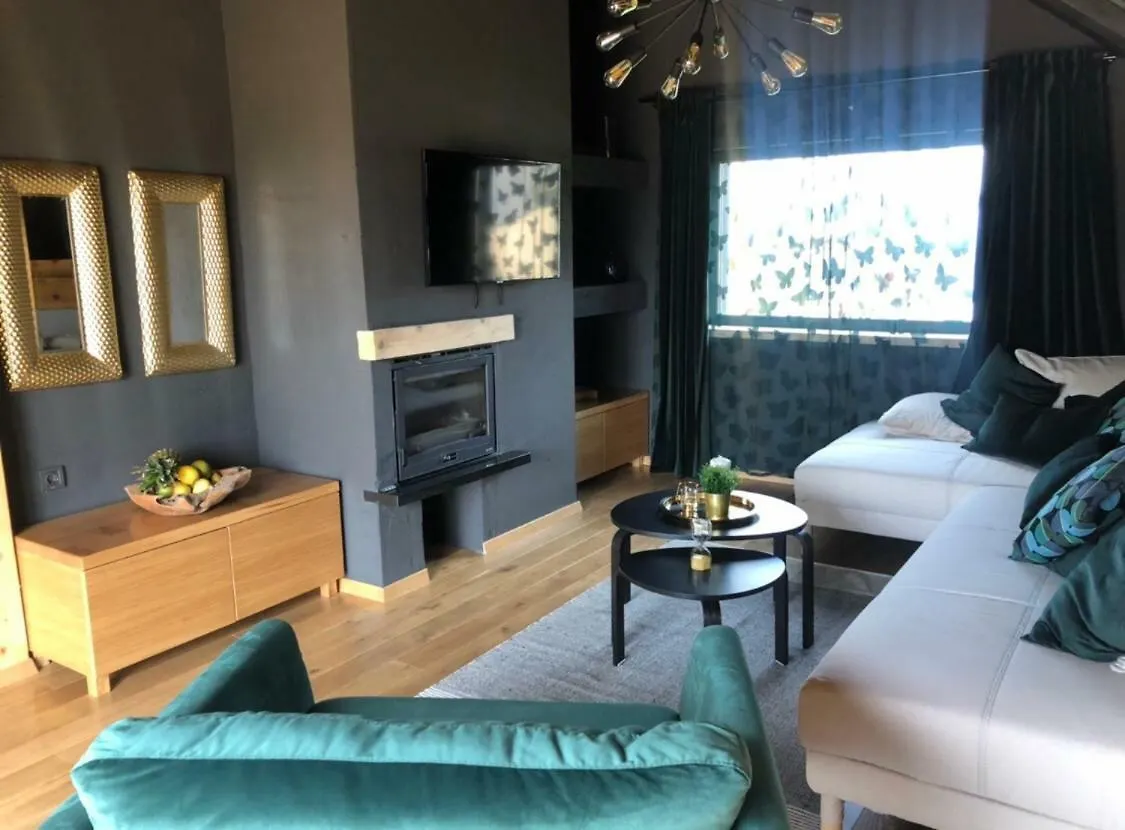 Zoe Luxury House Villa Gomirje